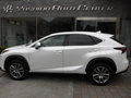 レクサス　NX 300 (LEXUS)　板金 塗装  修理 事例