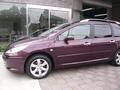 プジョー　307 SW　（PEUGEOT 307 SW）　板金 塗装 自動車 修理事例